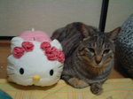 クー&キティーちゃん
